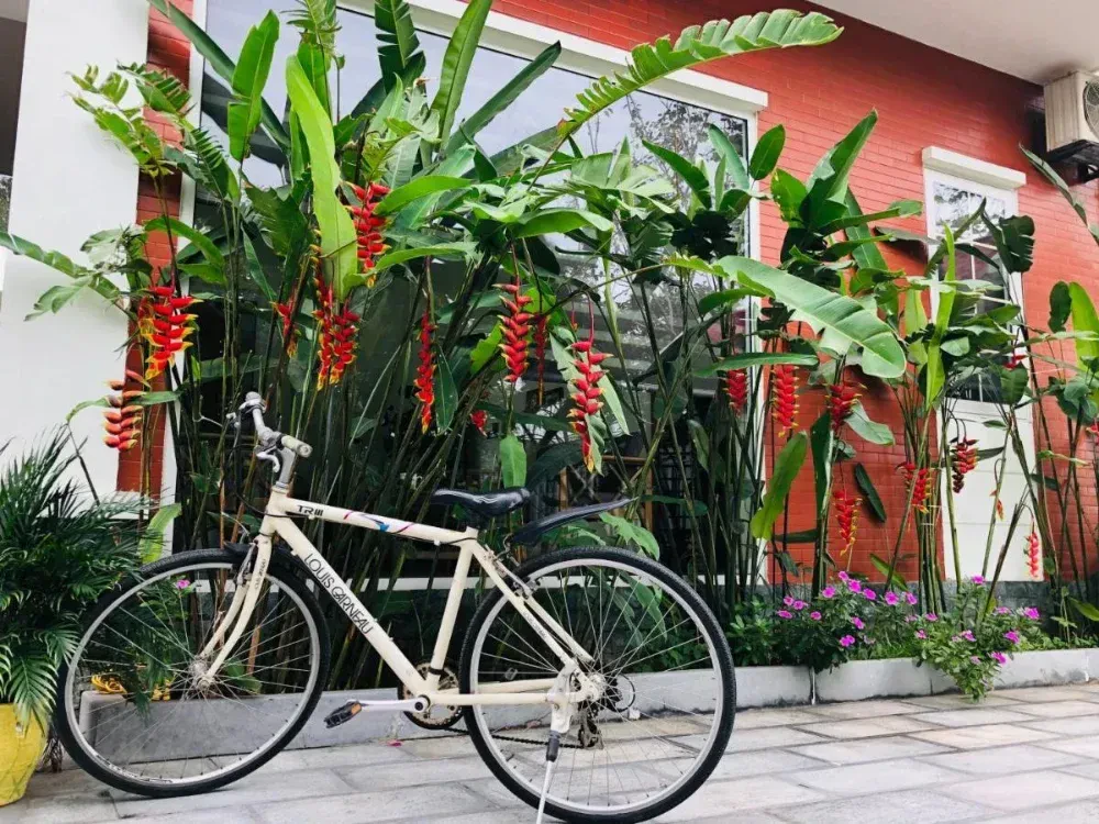 Ninh Binh Brother's Homestay – ảnh 5