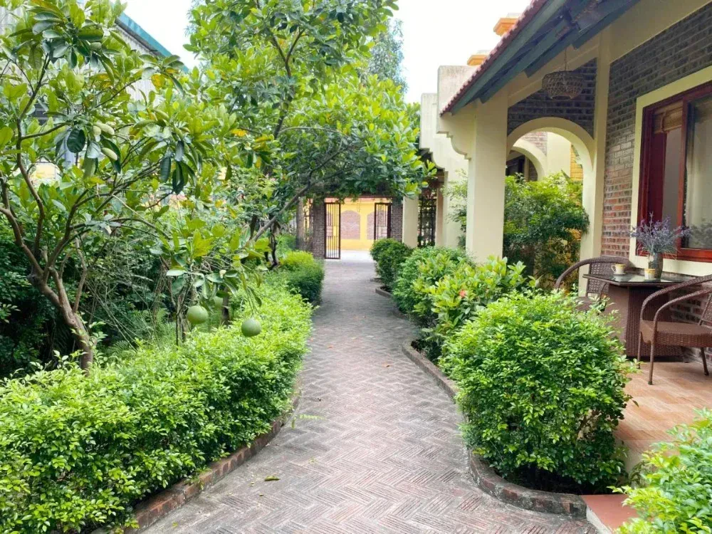 Tam Coc Golden Sky Homestay – ảnh 4