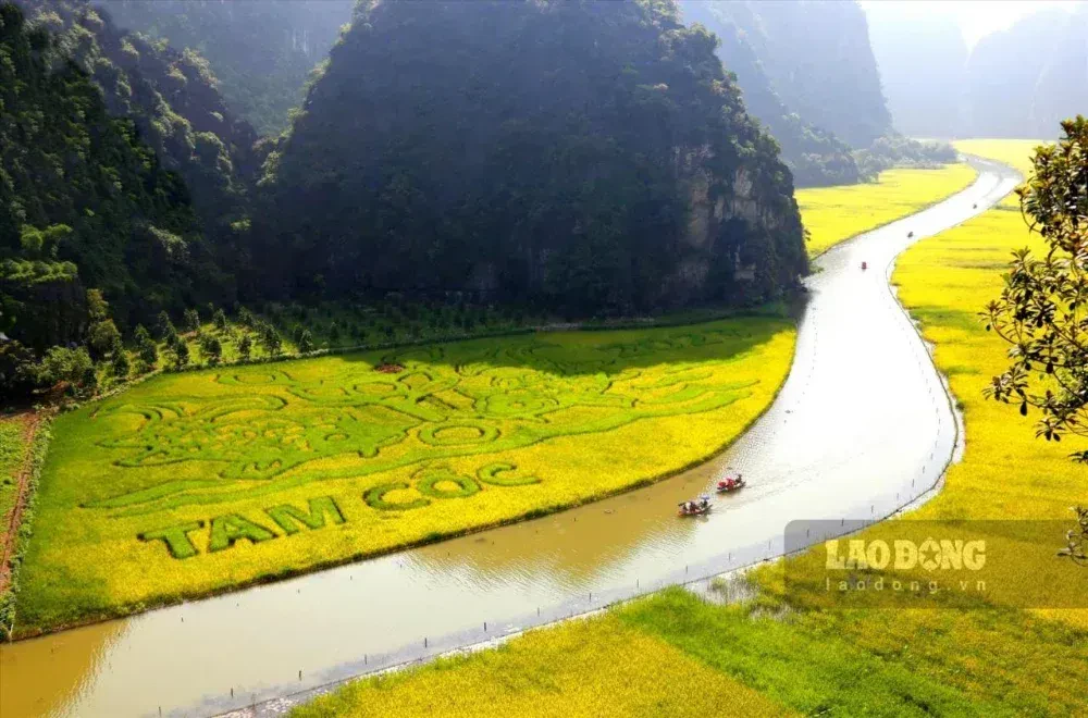 Tam Coc Hung Ha Homestay – ảnh 4