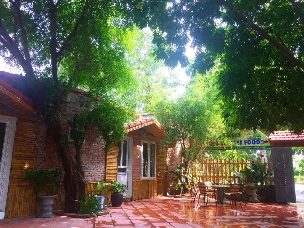 Tam Coc Green Fields Homestay – ảnh 1