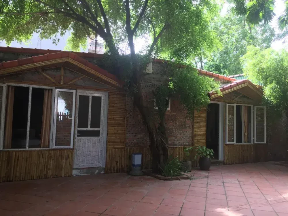 Tam Coc Green Fields Homestay – ảnh 5