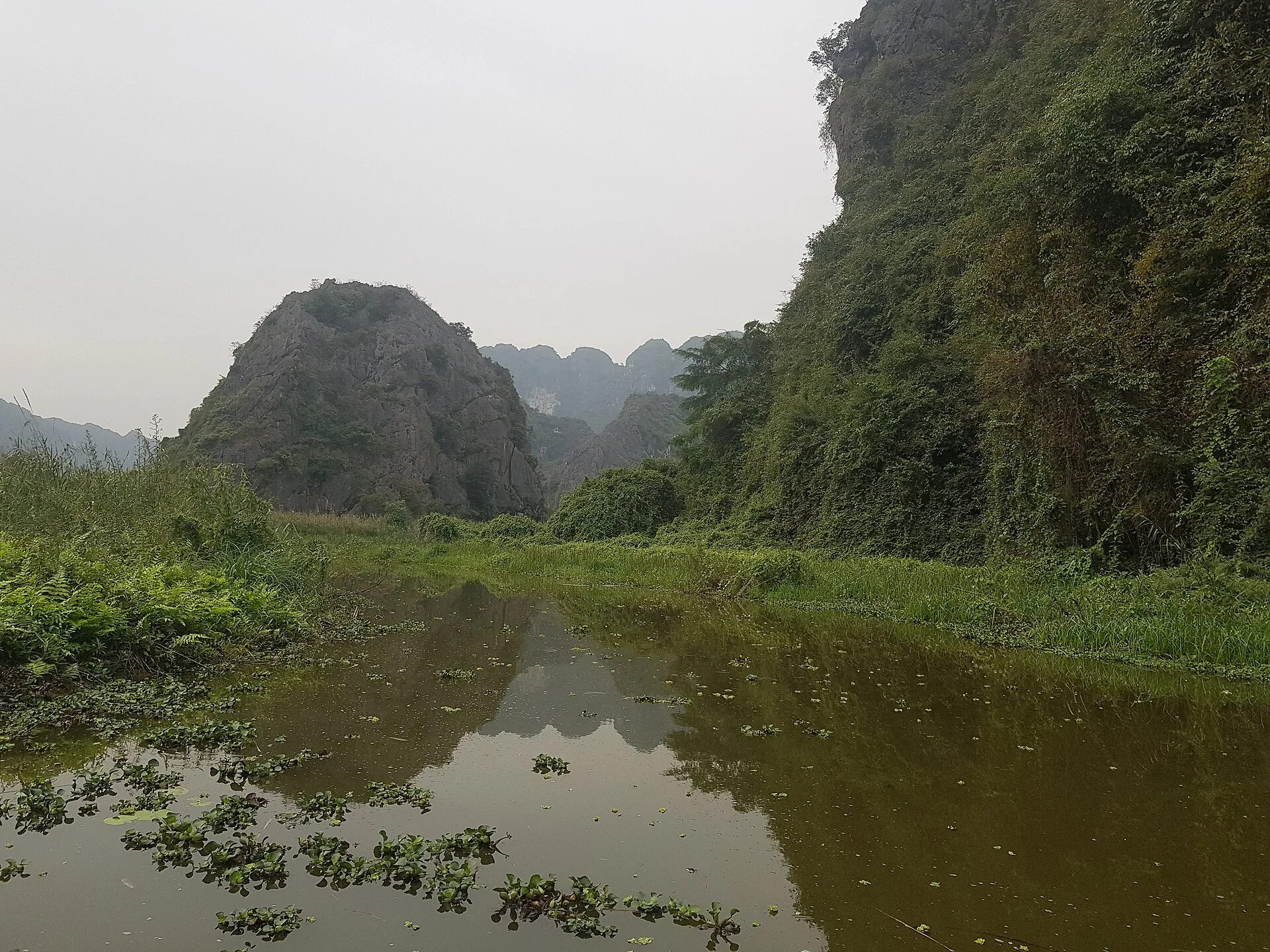 Khu bảo tồn Vân Long — ảnh 2
