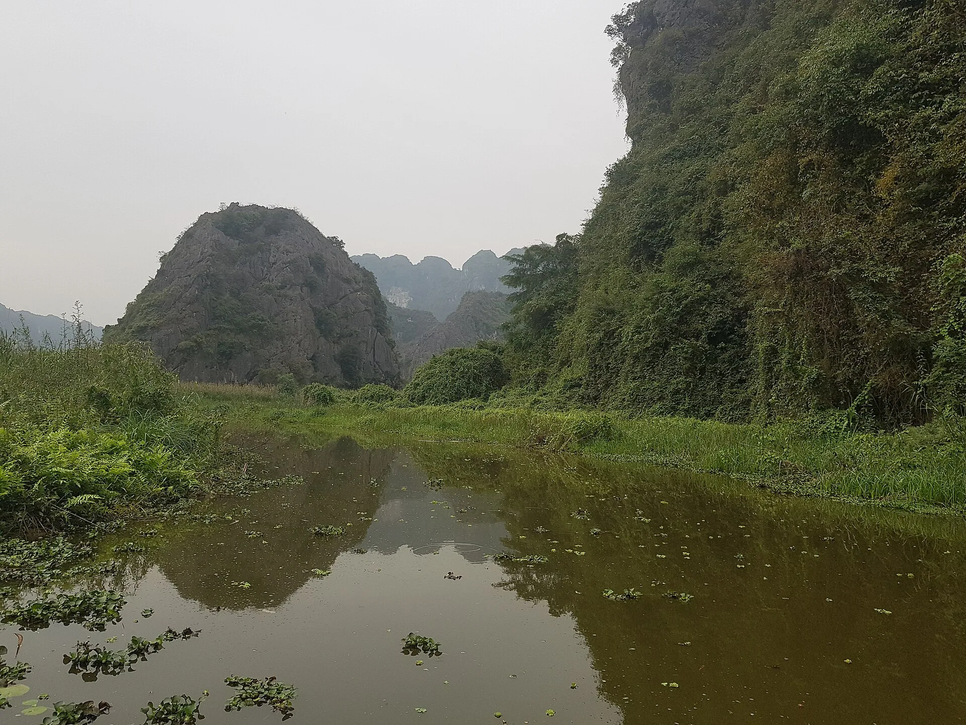 Khu bảo tồn Vân Long — ảnh 3