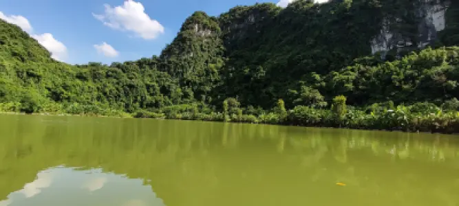 Vườn chim Thung Nham