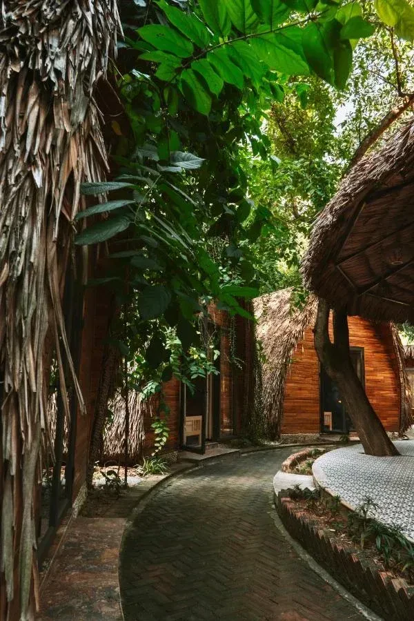 Hang Mua Ecolodge – ảnh 5
