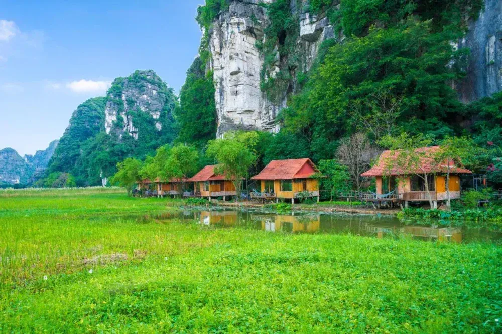 Lotus Field Homestay – ảnh 4